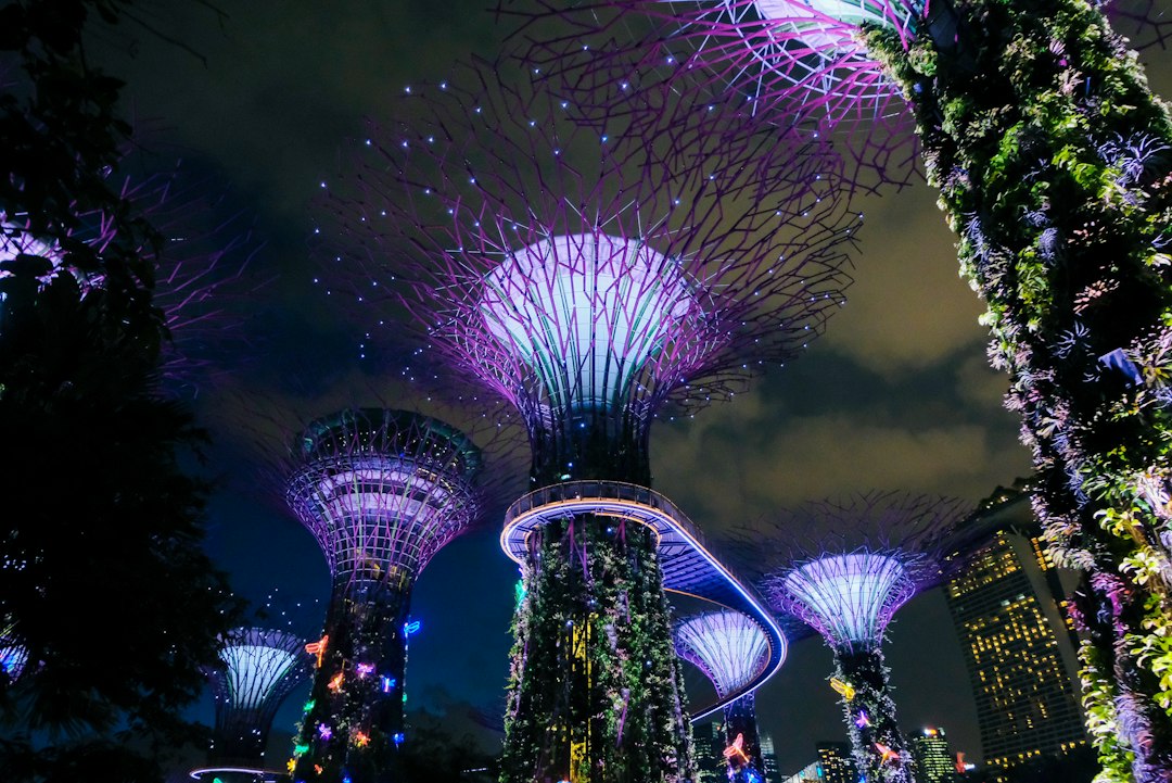 Exploration des Jardins de Gardens by the Bay - 18 Marina Gardens Dr | Secret World Trip Planner