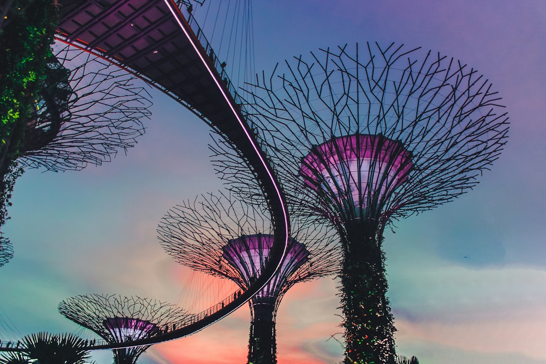 Découvrez les Jardins Botaniques de Singapour - 1 Cluny Rd | Secret World Trip Planner