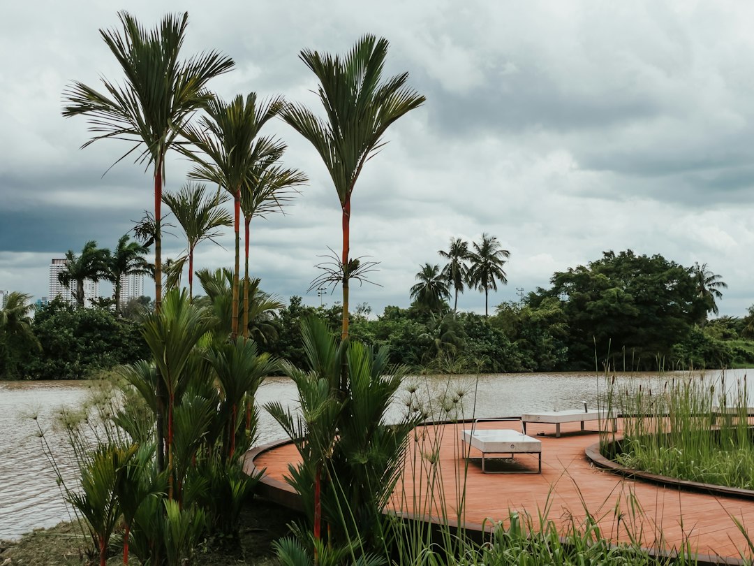 Scopri la magia di Jurong Lake Gardens a Singapore - Yuan Ching Rd | Secret World Trip Planner