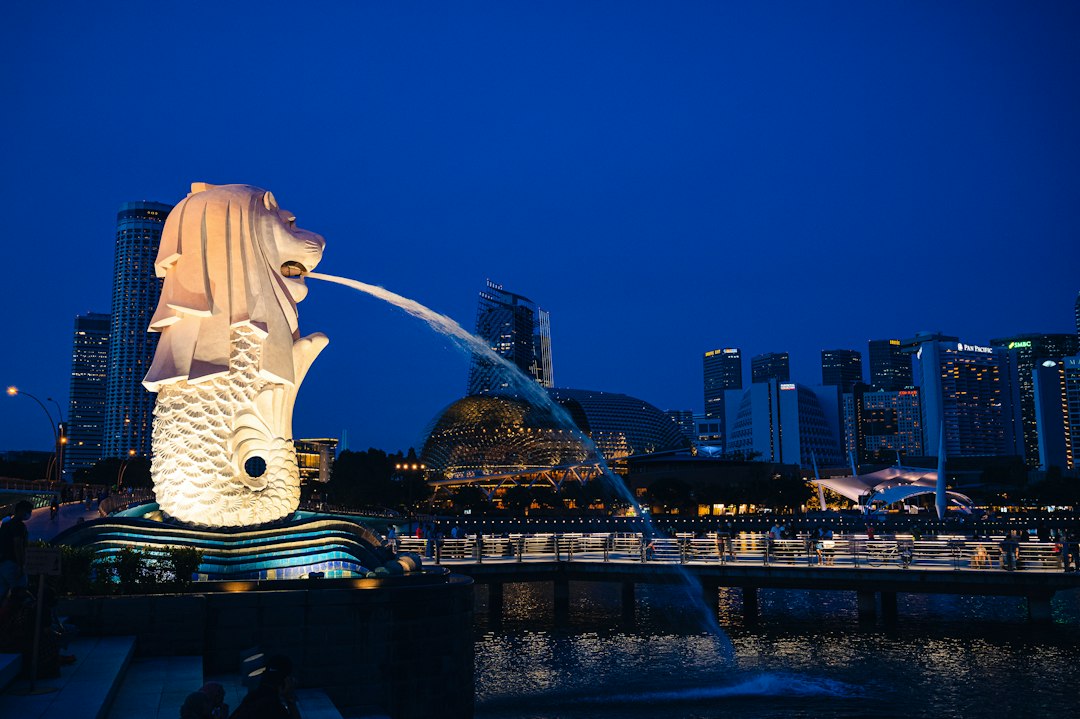 Den Merlion Park entdecken: das Herz von Singapur - 1 Fullerton Rd | Secret World Trip Planner
