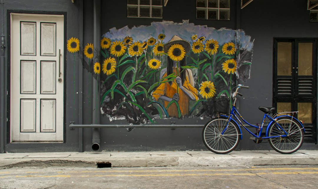 Découvrez Haji Lane : Un Coin de Singapour entre Histoire et Art - Haji Ln | Secret World Trip Planner