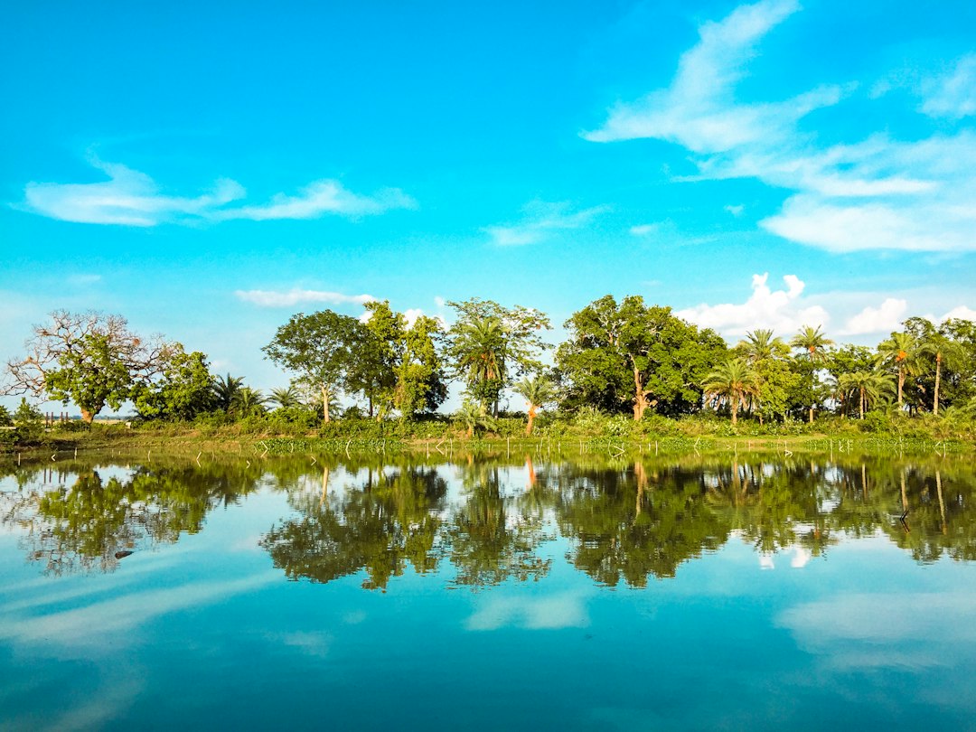 Étang réfléchissant d'Angkor Wat : magie au crépuscule - Reflecting Pond | Secret World Trip Planner