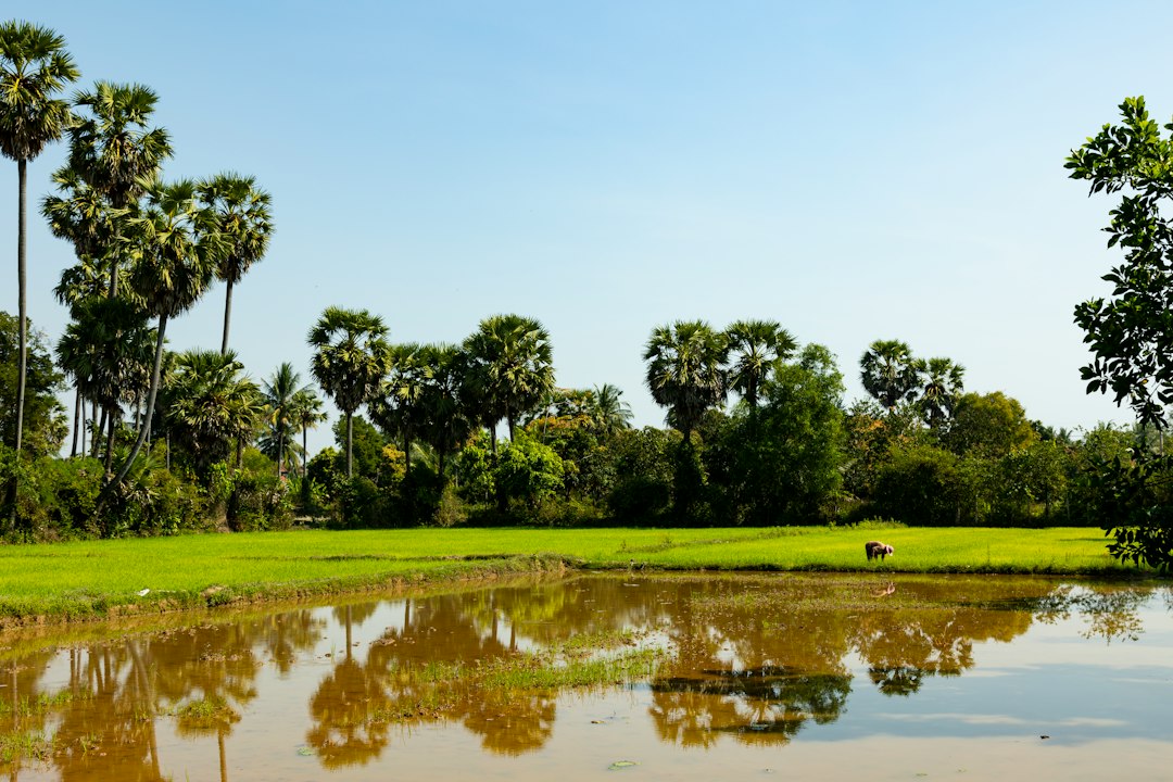 El estanque reflejante de Angkor Wat: magia al atardecer - Reflecting Pond | Secret World Trip Planner