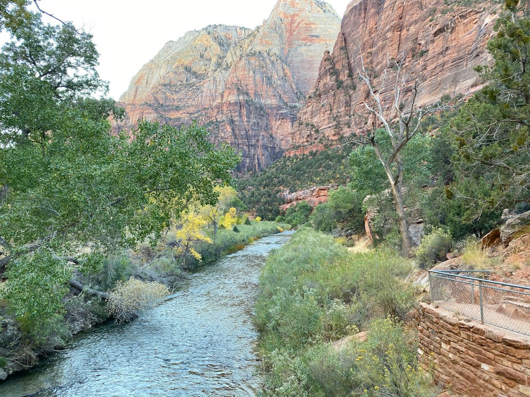 The Narrows of Zion: Walk the River Among Rocks - Springdale | Secret World Trip Planner