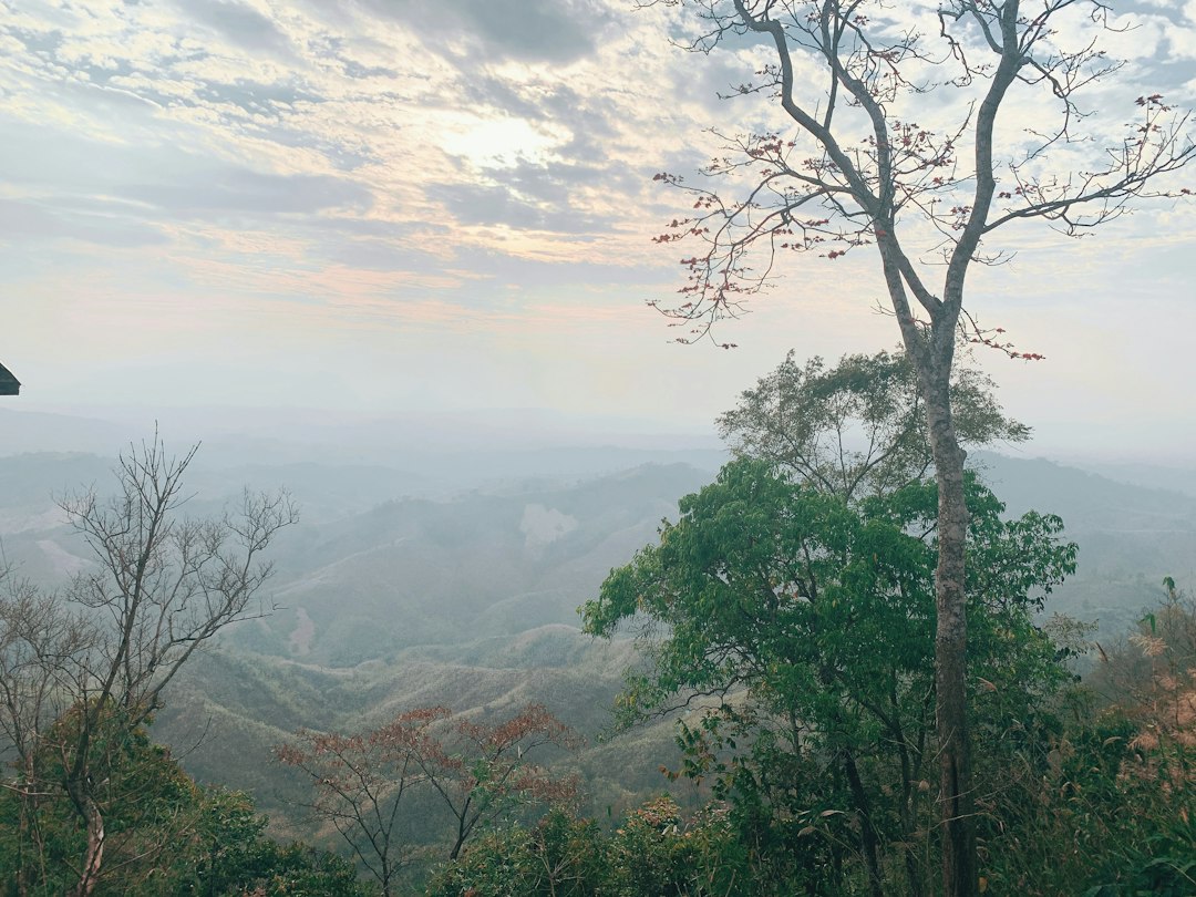 Wat Phu Tok : le monastère dans la roche en Thaïlande - Si Wilai District | Secret World Trip Planner