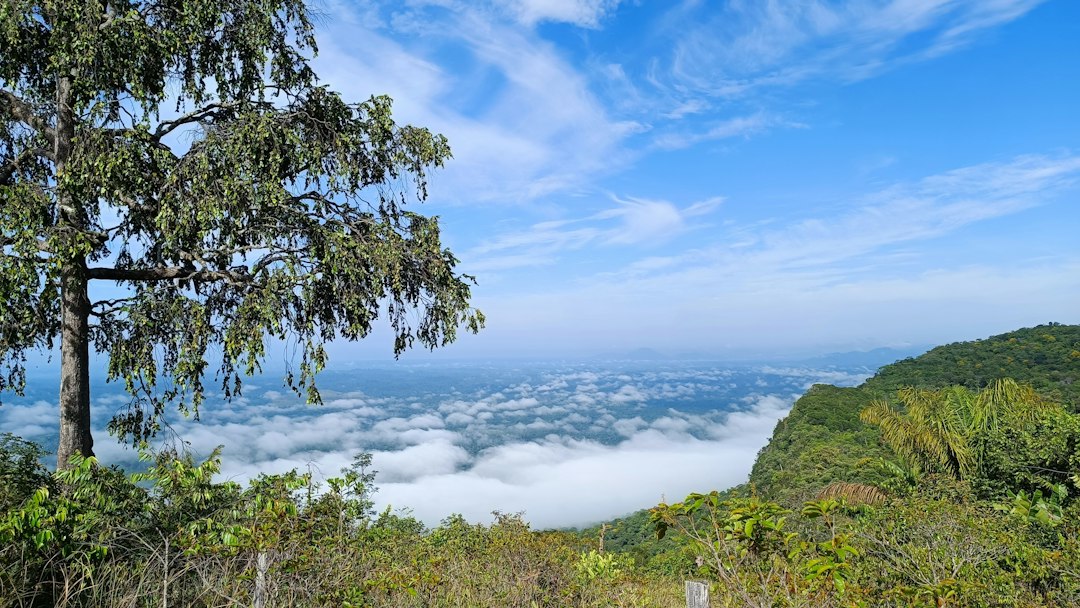 Wat Phu Tok : le monastère dans la roche en Thaïlande - Si Wilai District | Secret World Trip Planner