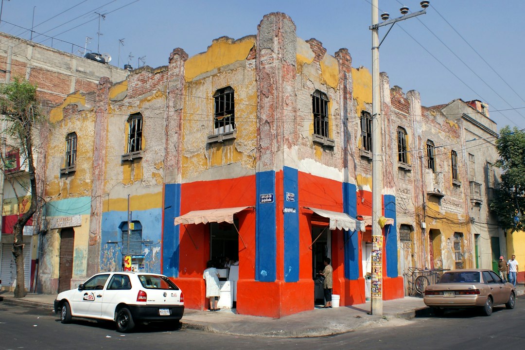 Museo Dolores Olmedo: Kahlo e Rivera in un'hacienda — 16030 Ciudad de México