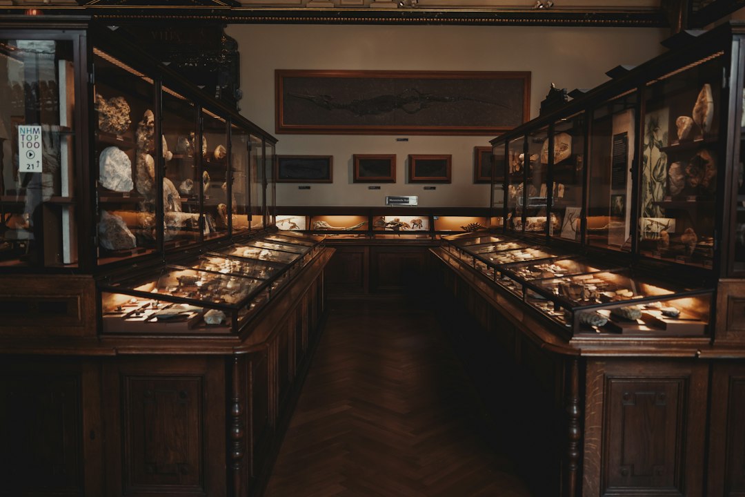 Leiden's National Museum of Ethnology: Visitor's Guide - Steenstraat 1B | Secret World Trip Planner