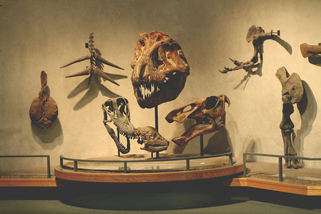 Leiden's National Museum of Ethnology: Visitor's Guide - Steenstraat 1B | Secret World Trip Planner