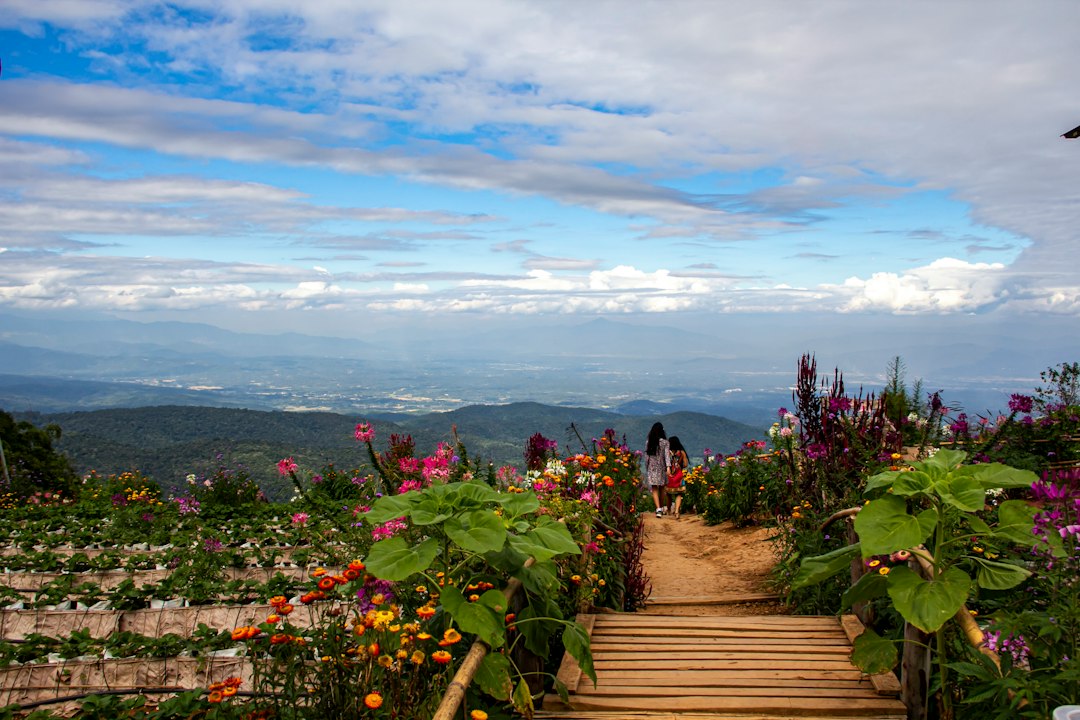 Doi Inthanon: sentieri nella foresta più alta della Thailandia - Chom Thong District | Secret World Trip Planner