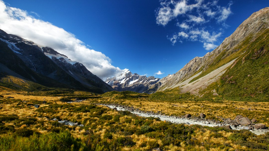 Verzaubertes Tal: Wanderung im Olympic Regenwald - Washington | Secret World Trip Planner