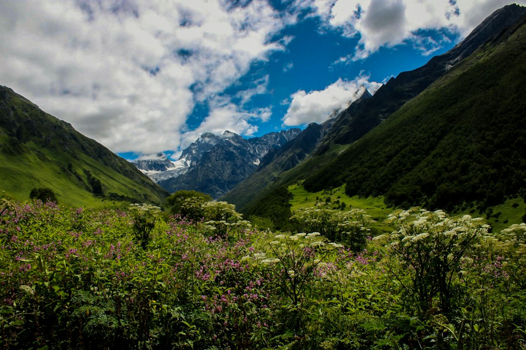 Valle Encantada: el sendero en la selva olímpica - Washington | Secret World Trip Planner