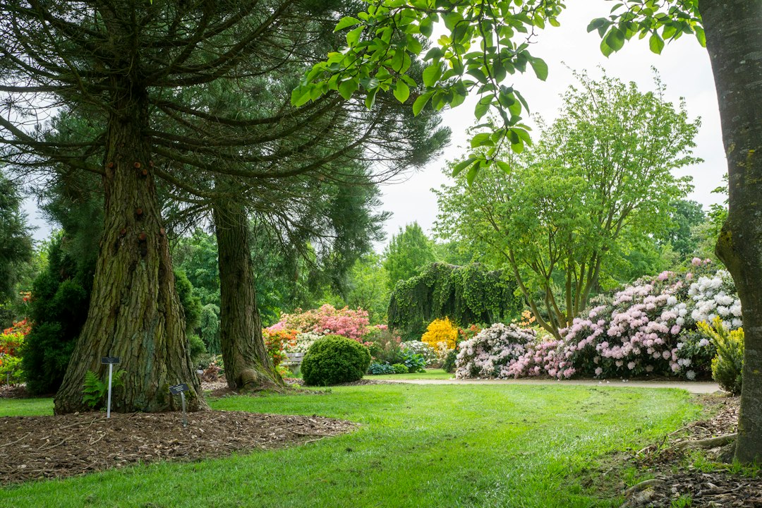 Arboreto de Radomlje: el jardín botánico de Eslovenia - Volčji Potok 3 | Secret World Trip Planner