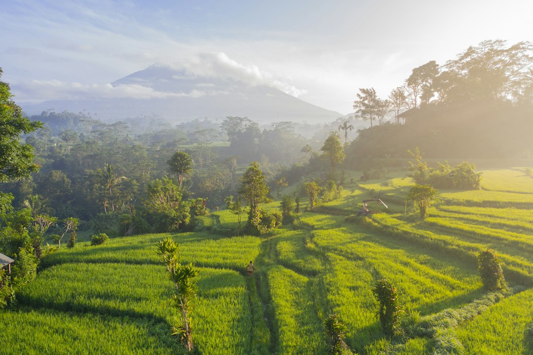 Secret World vs Google Trips: ¿qué app para Bali 2026? - Bali | Secret World Trip Planner