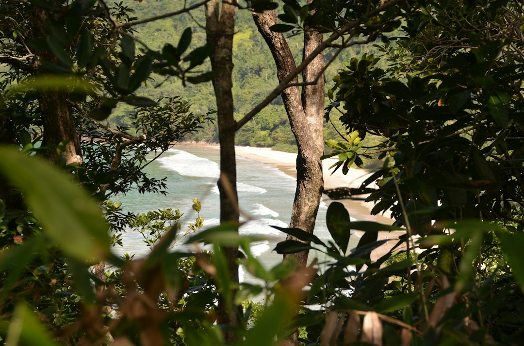 Praia do Sono: Der abgelegene Strand von Paraty — Rio de Janeiro