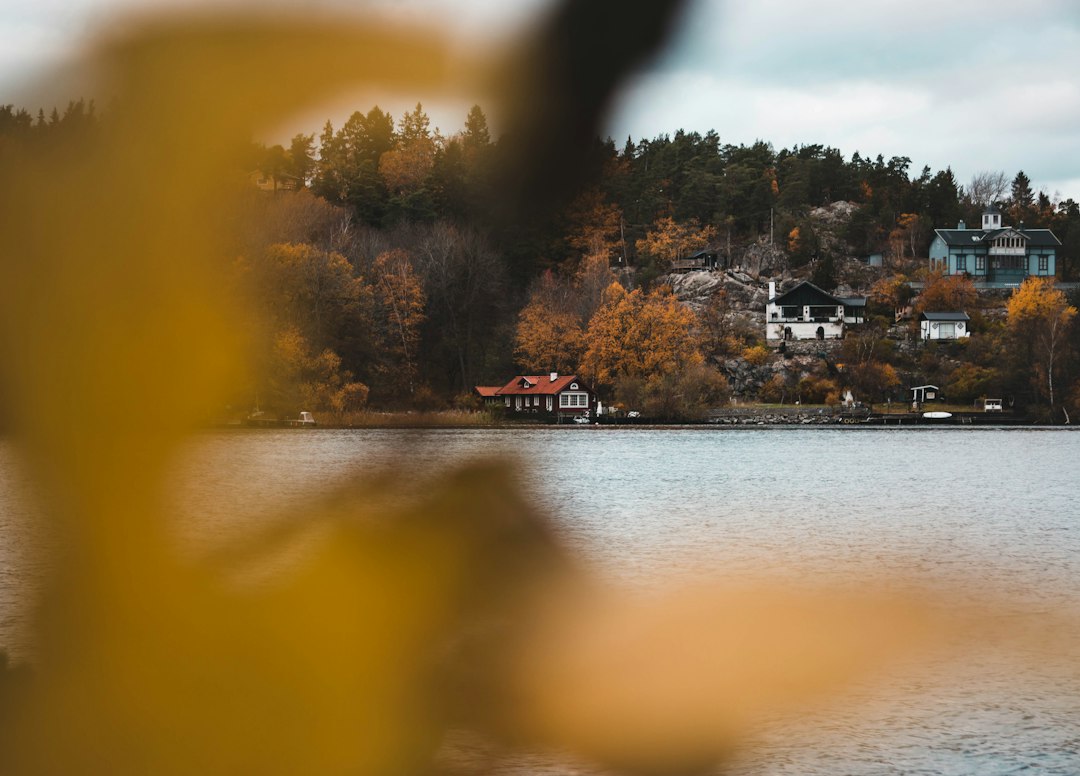 Skogskyrkogården: il cimitero-foresta di Stoccolma - Sockenvägen | Secret World Trip Planner