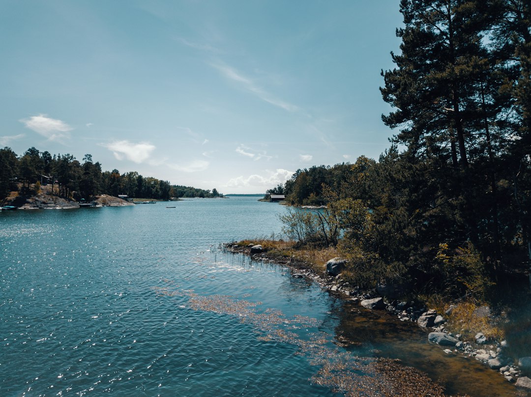 Skogskyrkogården: il cimitero-foresta di Stoccolma - Sockenvägen | Secret World Trip Planner