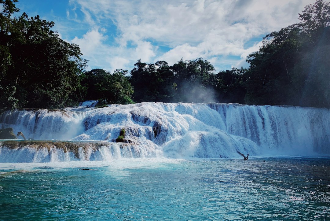 Agua Azul: Die türkisfarbenen Wasserfälle von Chiapas — 29920 Cascada de agua azul