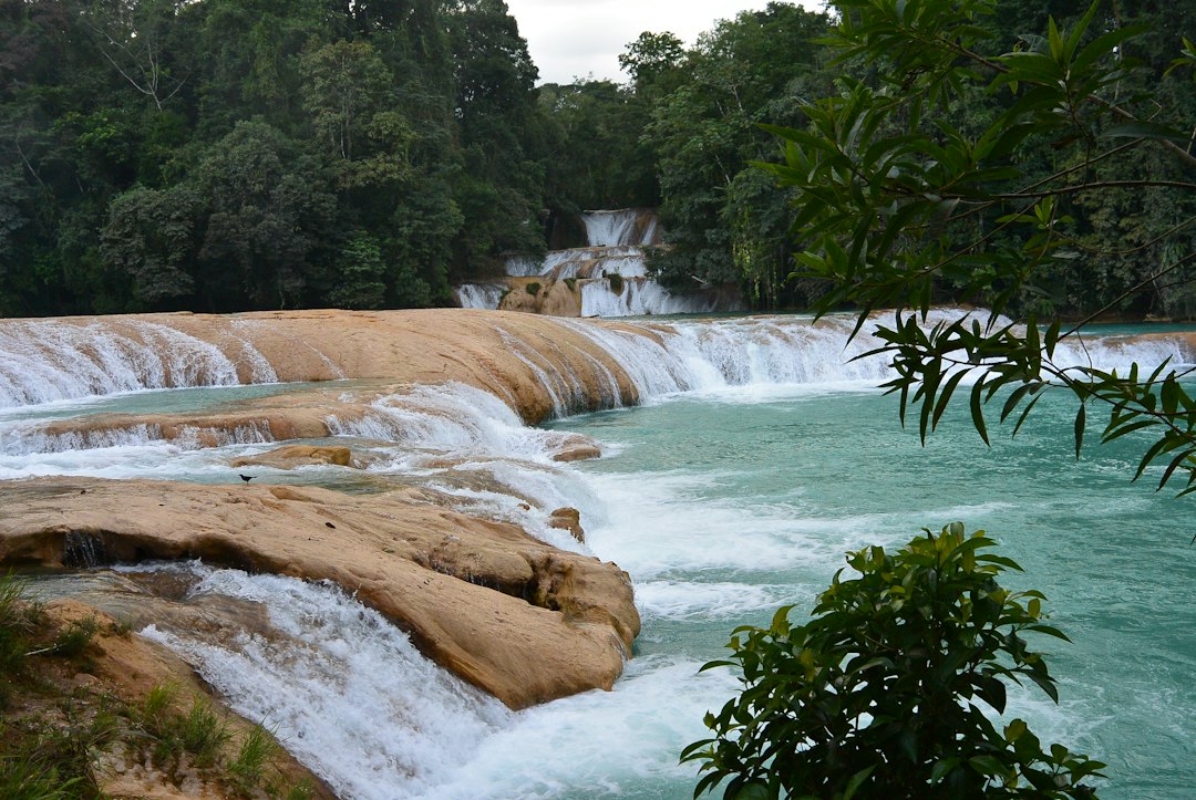 Agua Azul : les cascades turquoise du Chiapas - 29920 Cascada de agua azul | Secret World Trip Planner