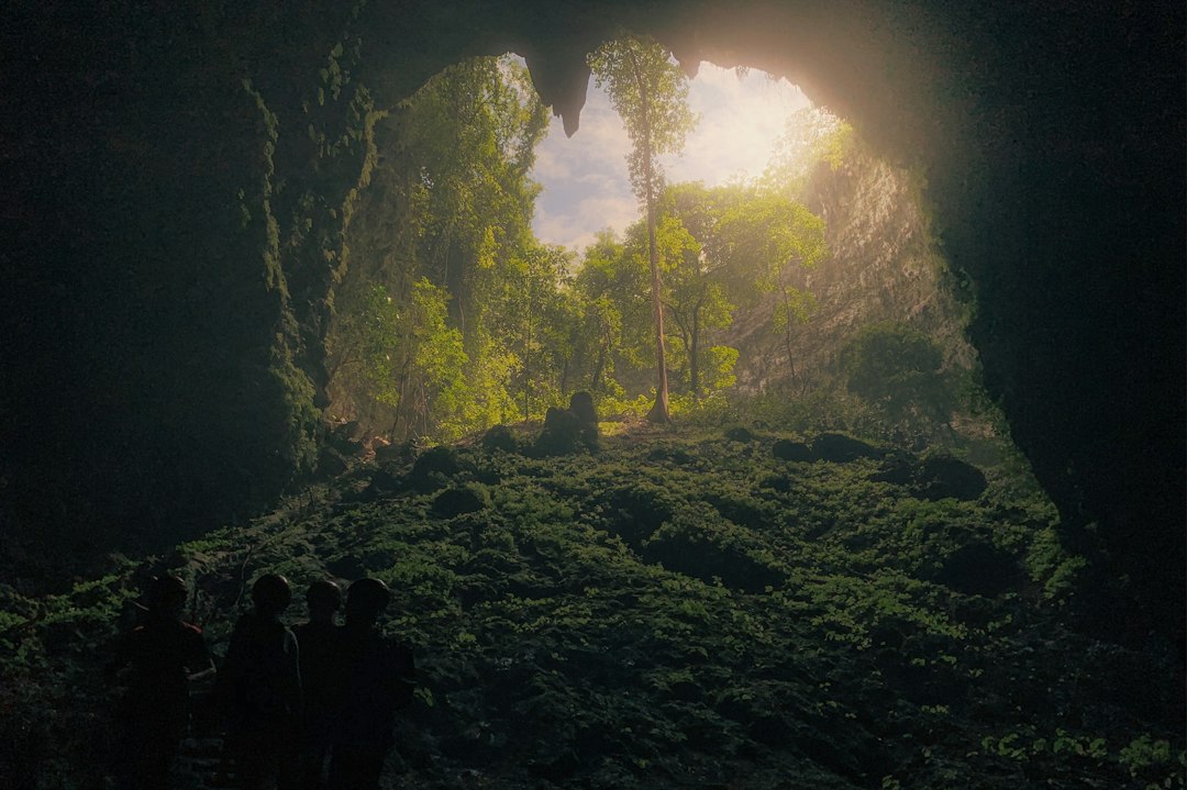 Jomblang-Höhle: Licht aus dem Himmel in Java — Kabupaten Gunungkidul