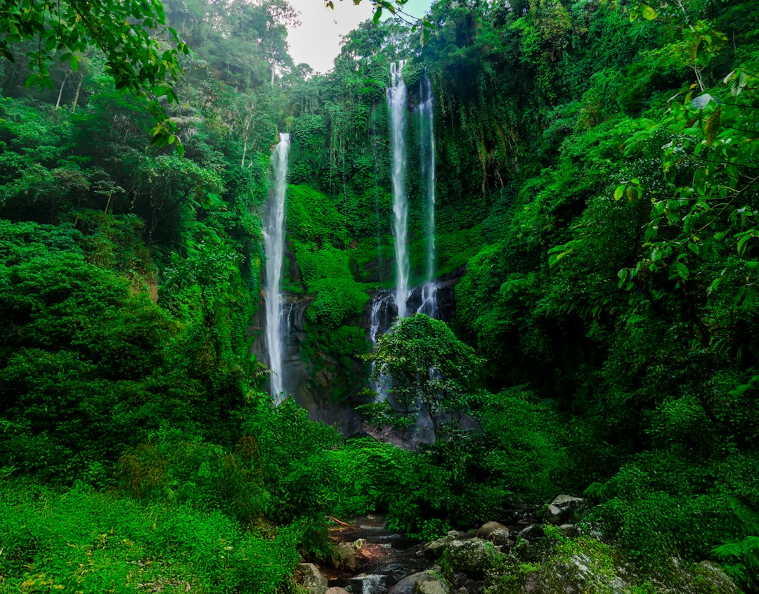Sekumpul: Seven Waterfalls Up to 80m in Bali Jungle - Kota Singaraja | Secret World Trip Planner