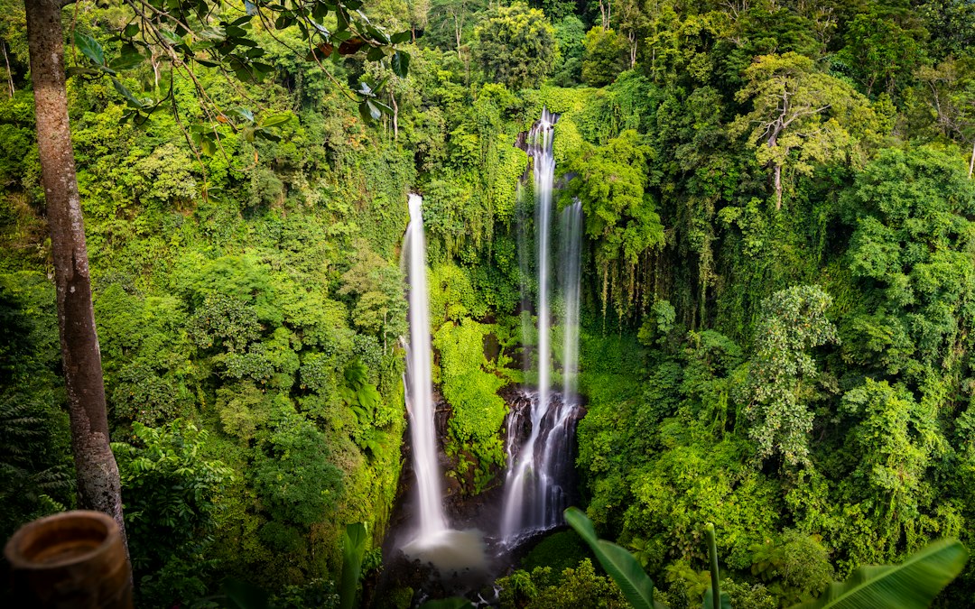 Sekumpul: siete cascadas de hasta 80 metros en Bali - Kota Singaraja | Secret World Trip Planner