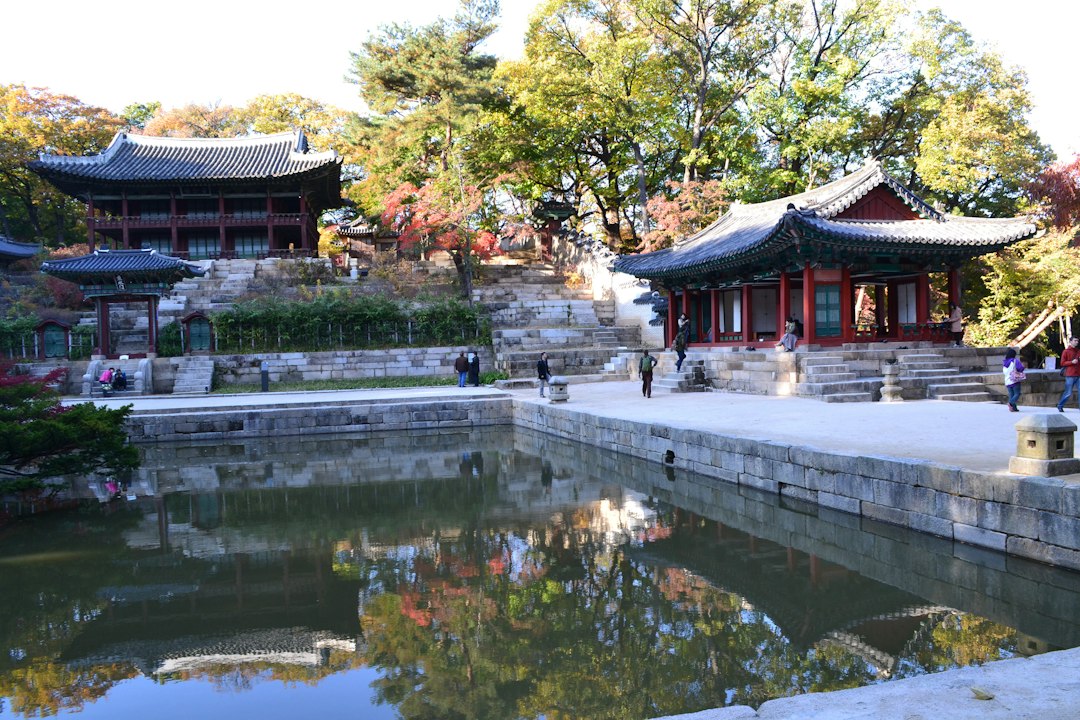 Huwon: il giardino segreto del palazzo Changdeokgung - Seoul | Secret World Trip Planner