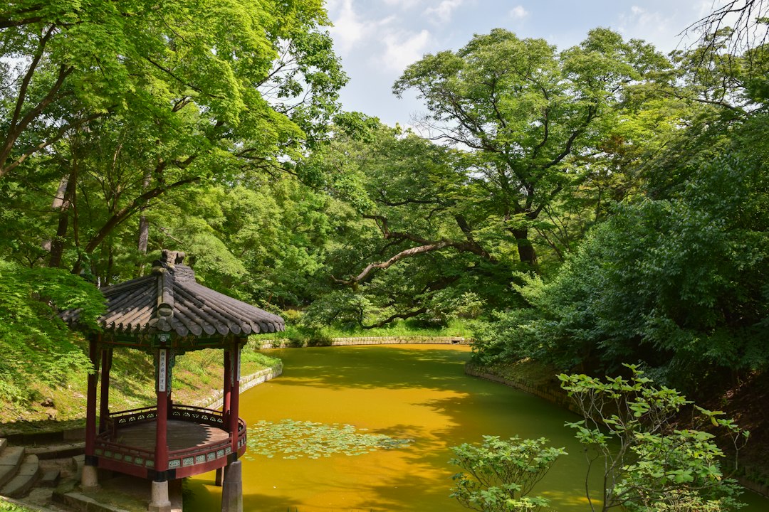 Huwon: The Secret Garden of Changdeokgung Palace - Seoul | Secret World Trip Planner