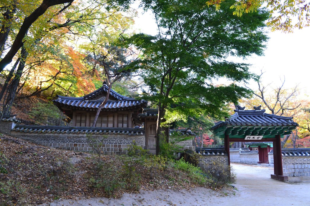 Huwon: The Secret Garden of Changdeokgung Palace - Seoul | Secret World Trip Planner