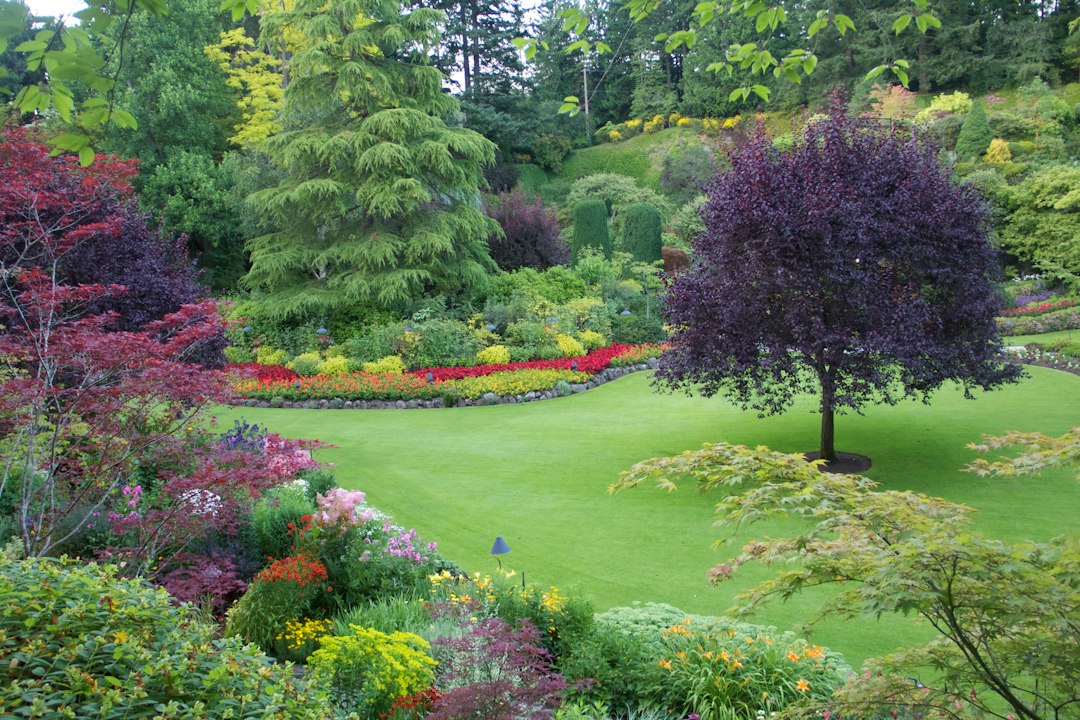 Jardin englouti : le jardin de la carrière de Brentwood Bay - Brentwood Bay | Secret World Trip Planner