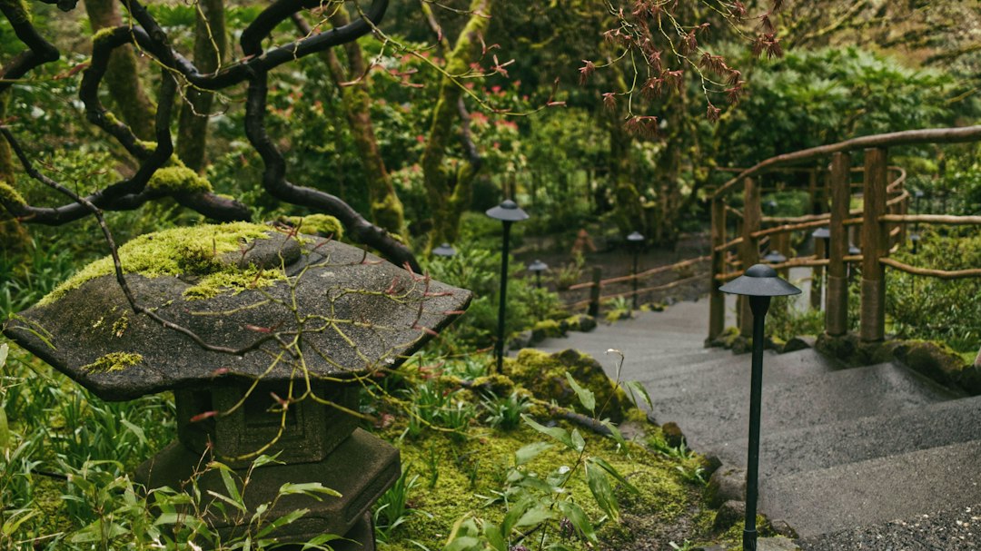 Jardín Sumergido: el jardín en la cantera de Brentwood Bay - Brentwood Bay | Secret World Trip Planner