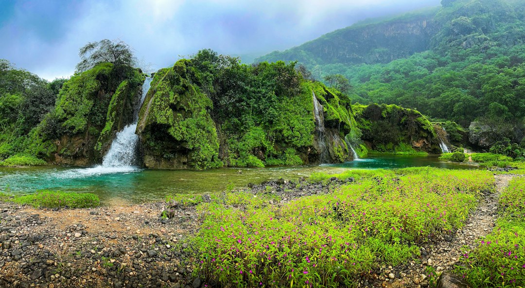 ʻAkaka Falls: The Stunning 135m Waterfall in Hawaii - Honomu | Secret World Trip Planner