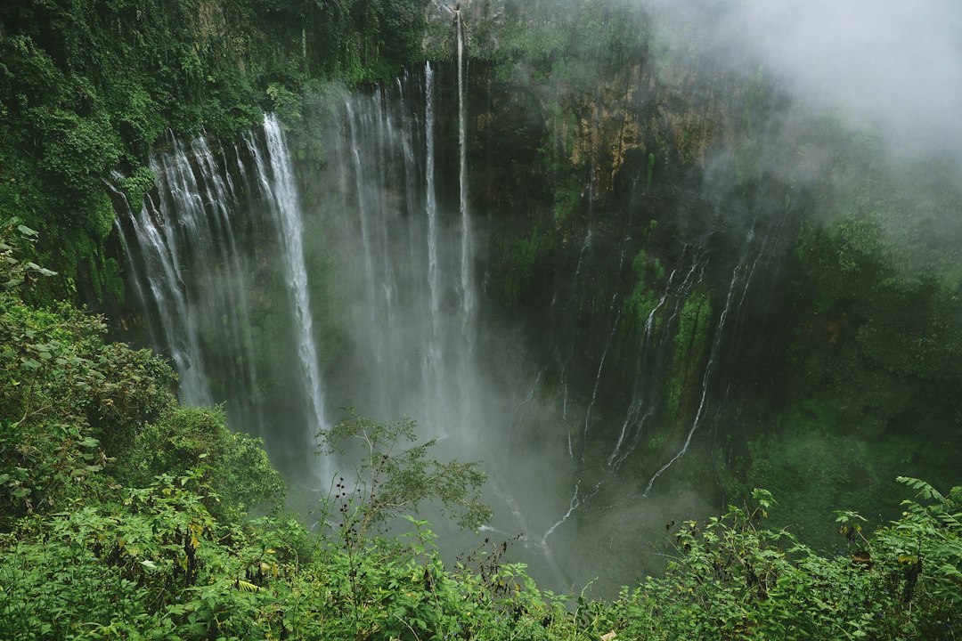 Cascada ʻAkaka: maravilla de 135 metros en Hawái — Honomu