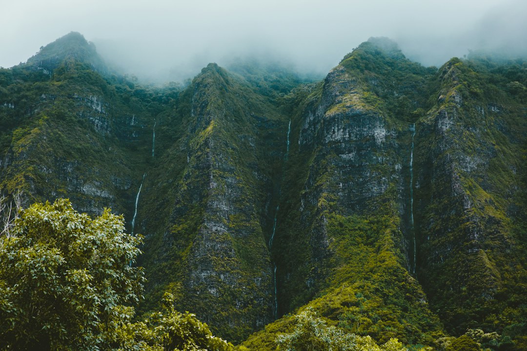 Cascada ʻAkaka: maravilla de 135 metros en Hawái - Honomu | Secret World Trip Planner