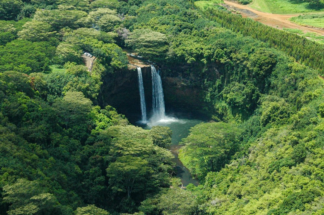 Cascada ʻAkaka: maravilla de 135 metros en Hawái - Honomu | Secret World Trip Planner