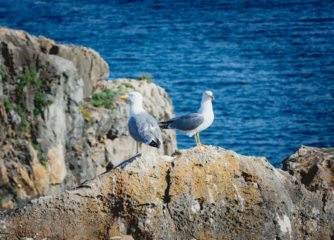 Boca do Inferno: le onde dell'Atlantico a Cascais - Av. Rei Humberto II de Itália 642 | Secret World Trip Planner
