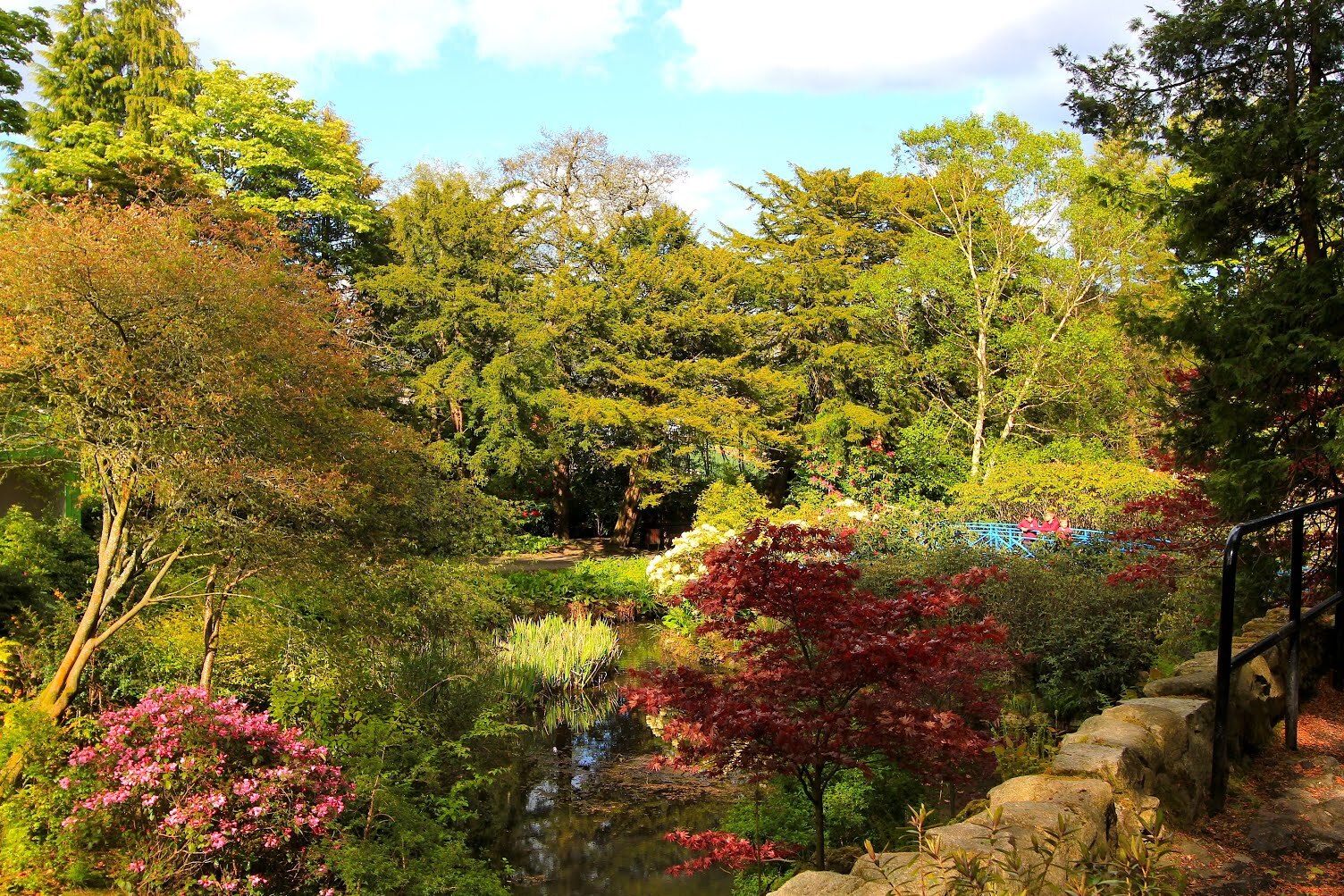 Johnston Gardens in Aberdeen — Aberdeen