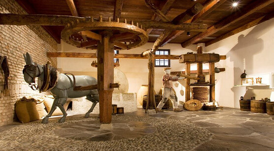 MOO Olive and Oil Museum — Rondissone
