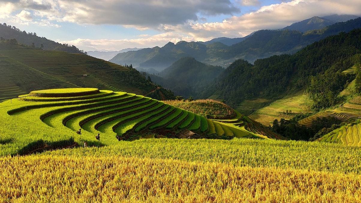 Terrazze del riso di Tegallalang - Kabupaten Gianyar | Secret World Trip Planner