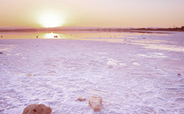 Lago salato di Larnaca — Larnaca