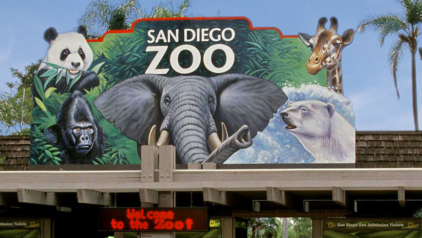 El zoológico de San Diego - San Diego | Secret World Trip Planner