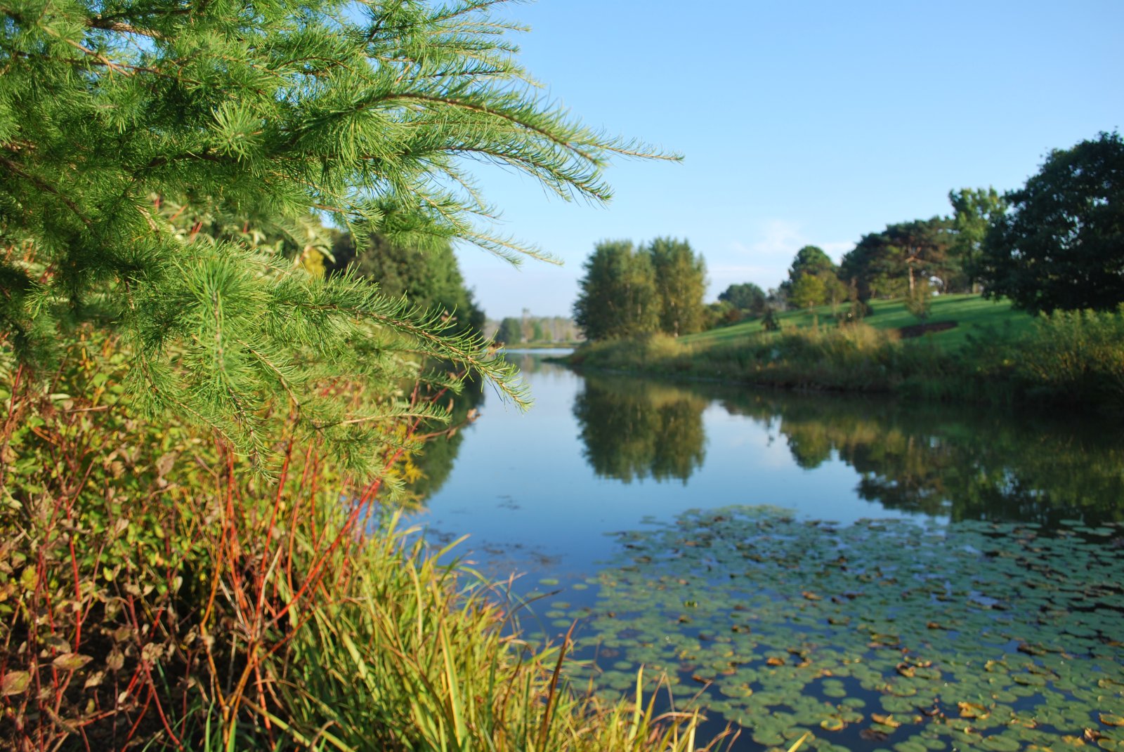 The Chicago Botanic Garden - Glencoe | Secret World Trip Planner