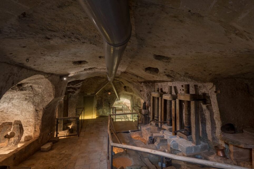 Moom, Museo del Aceite de Oliva de Matera - Matera | Secret World Trip Planner