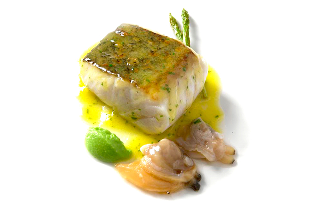 هیک در سس سبز - Bilbao | Secret World Trip Planner
