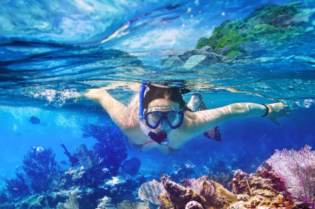 katalina irla - Isla Catalina | Secret World Trip Planner