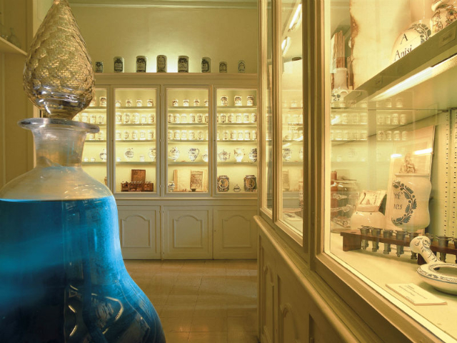 Flaubert in Muzej zgodovine medicine - Rouen | Secret World Trip Planner