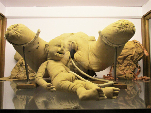 Flaubert in Muzej zgodovine medicine - Rouen | Secret World Trip Planner