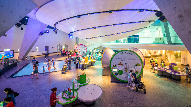Museo delle Scienze Phillip e Patricia Frost - Miami | Secret World Trip Planner