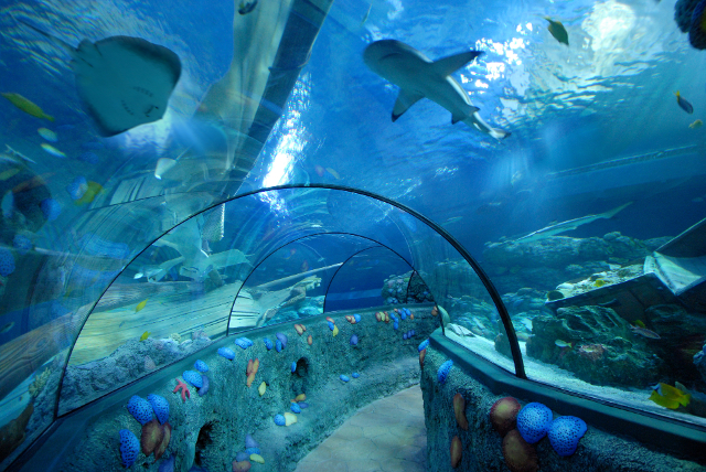 Maisha ya Bahari Speyer - Speyer | Secret World Trip Planner