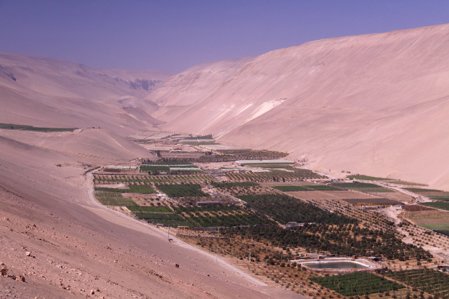 Vinos del Valle de Azapa - Arica | Secret World Trip Planner